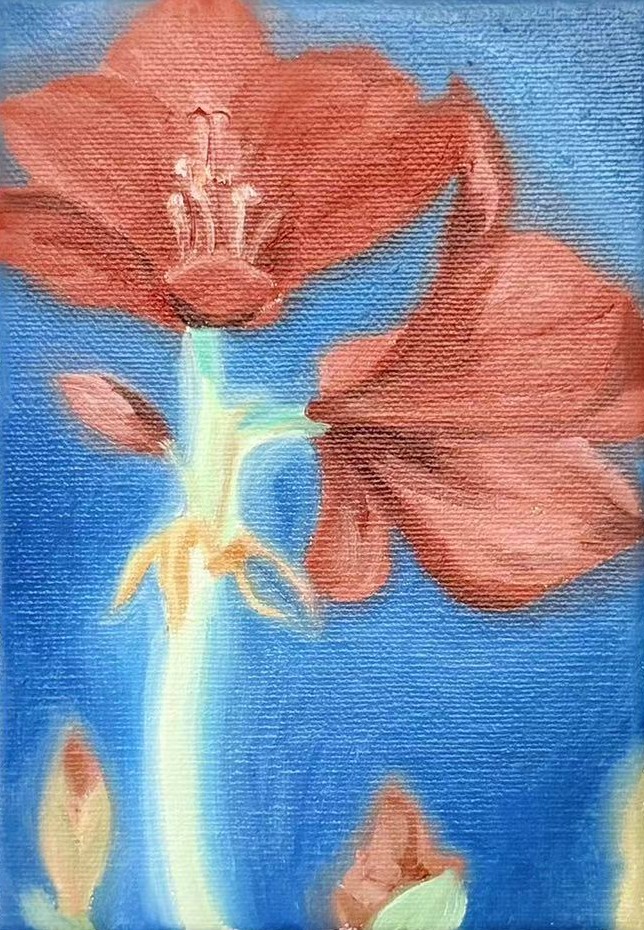 红花